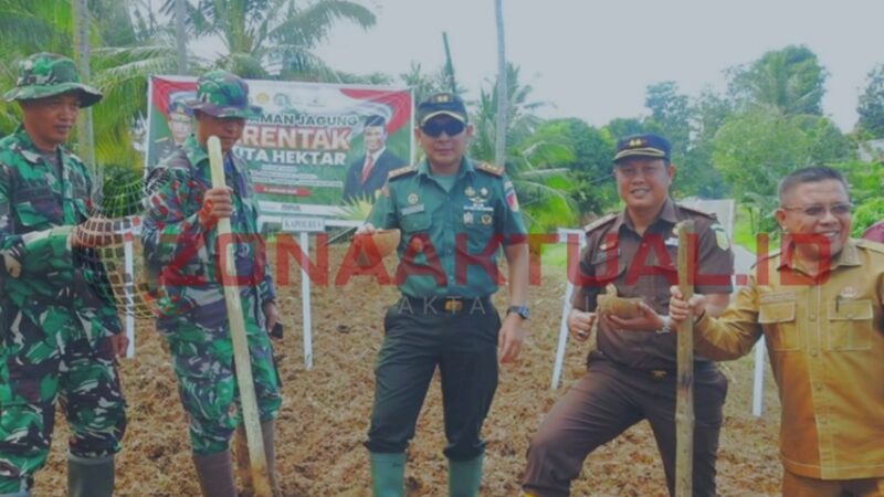 Penanaman jagung oleh Dandim Gorut bersama Forkopimda 