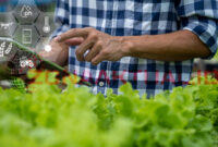 Ilustrasi: Anak Muda Ramai Beralih Jadi Petani Modern