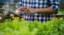 Ilustrasi: Anak Muda Ramai Beralih Jadi Petani Modern