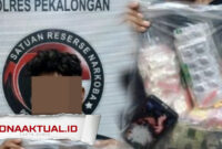 Foto : Satresnarkoba Polres Pekalongan Kota Tangkap Pria 30 Tahun, Edarkan Obat-Obatan Terlarang Tanpa Izin