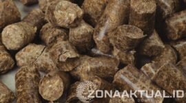 Foto :  Wood Pellet 