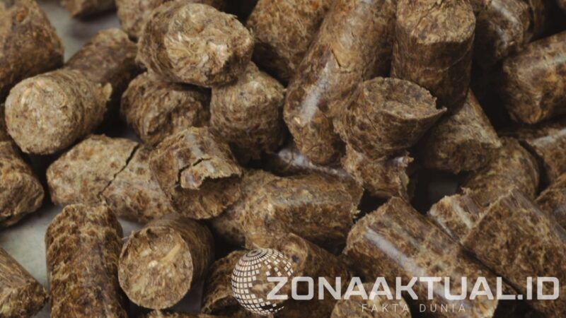 Foto :  Wood Pellet 