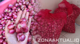 Foto : Potret Bawang Merah Kualitas Bagus yang dijual Pedagang Mohungo
