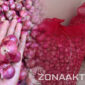 Foto : Potret Bawang Merah Kualitas Bagus yang dijual Pedagang Mohungo