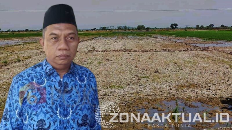 Foto : Kadis Pertanian Kabupaten Pohuwato