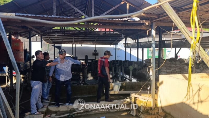 Foto : Mikson Yapanto Sidak Pengolahan Emas Ilegal di Suwawa