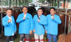 berita-pilihan-foto